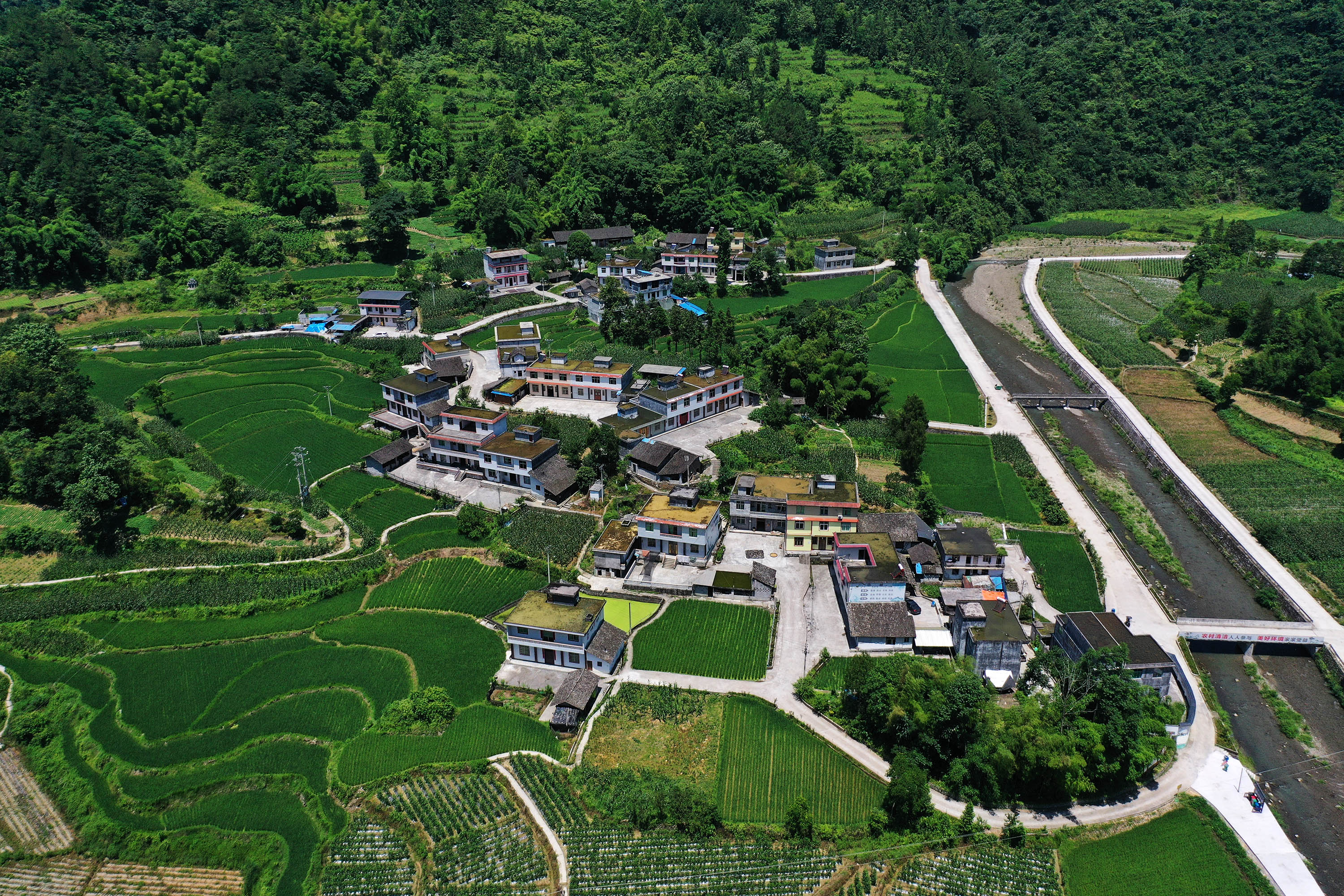 白石镇凤山村:产业兴 山村美_部门街镇_重庆市黔江区人民政府