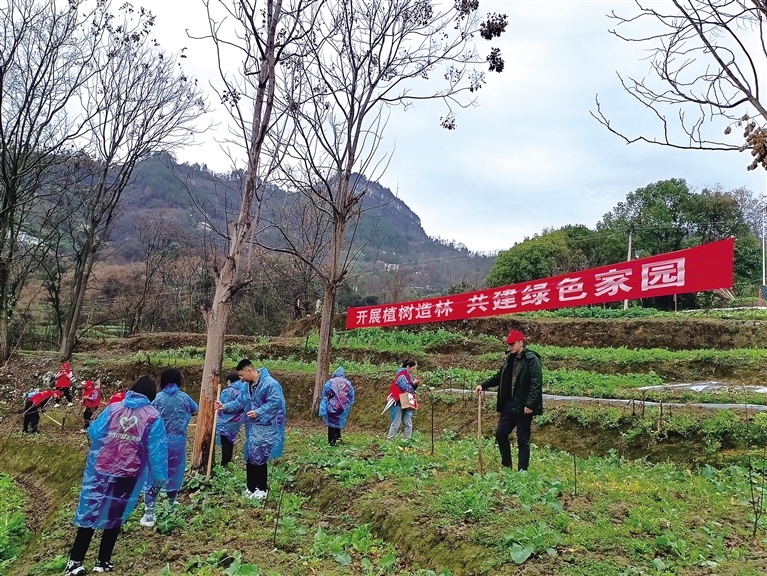 城东街道植树现场.jpg