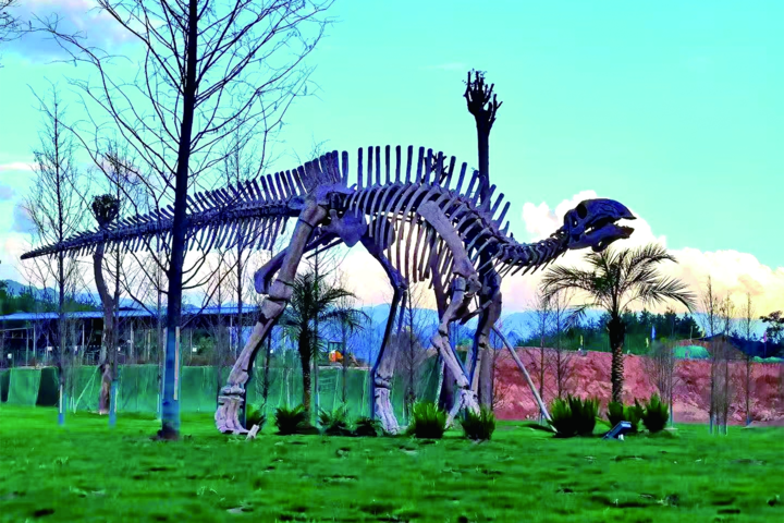恐龙遗址公园.jpg
