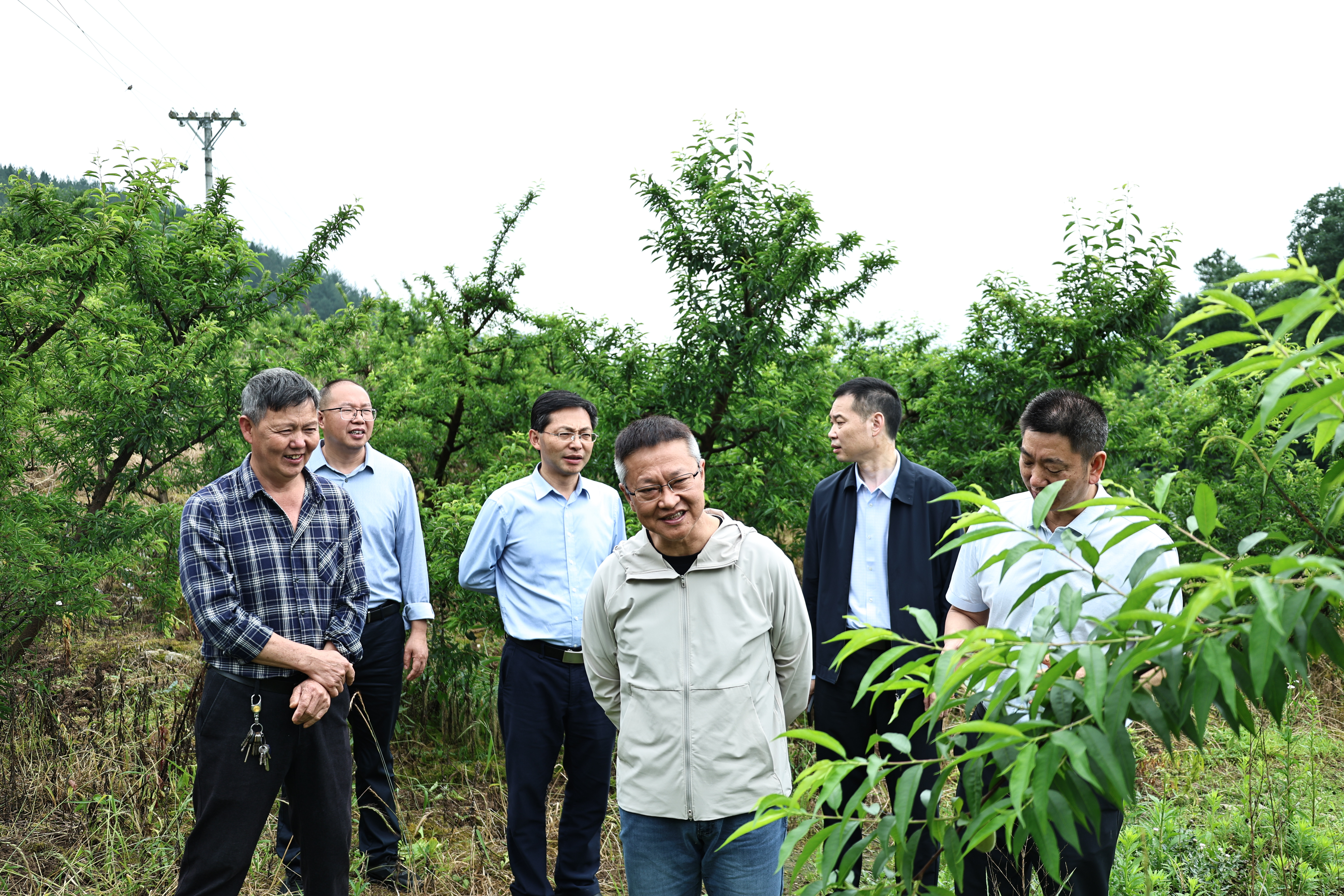 罗成在濯水镇调研时强调.jpg